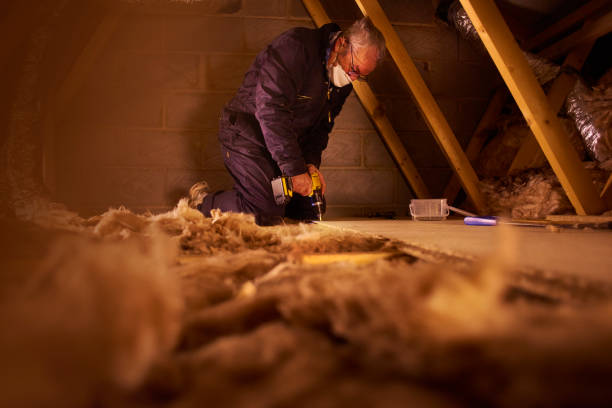 Best Cellulose Insulation in Fordoche, LA